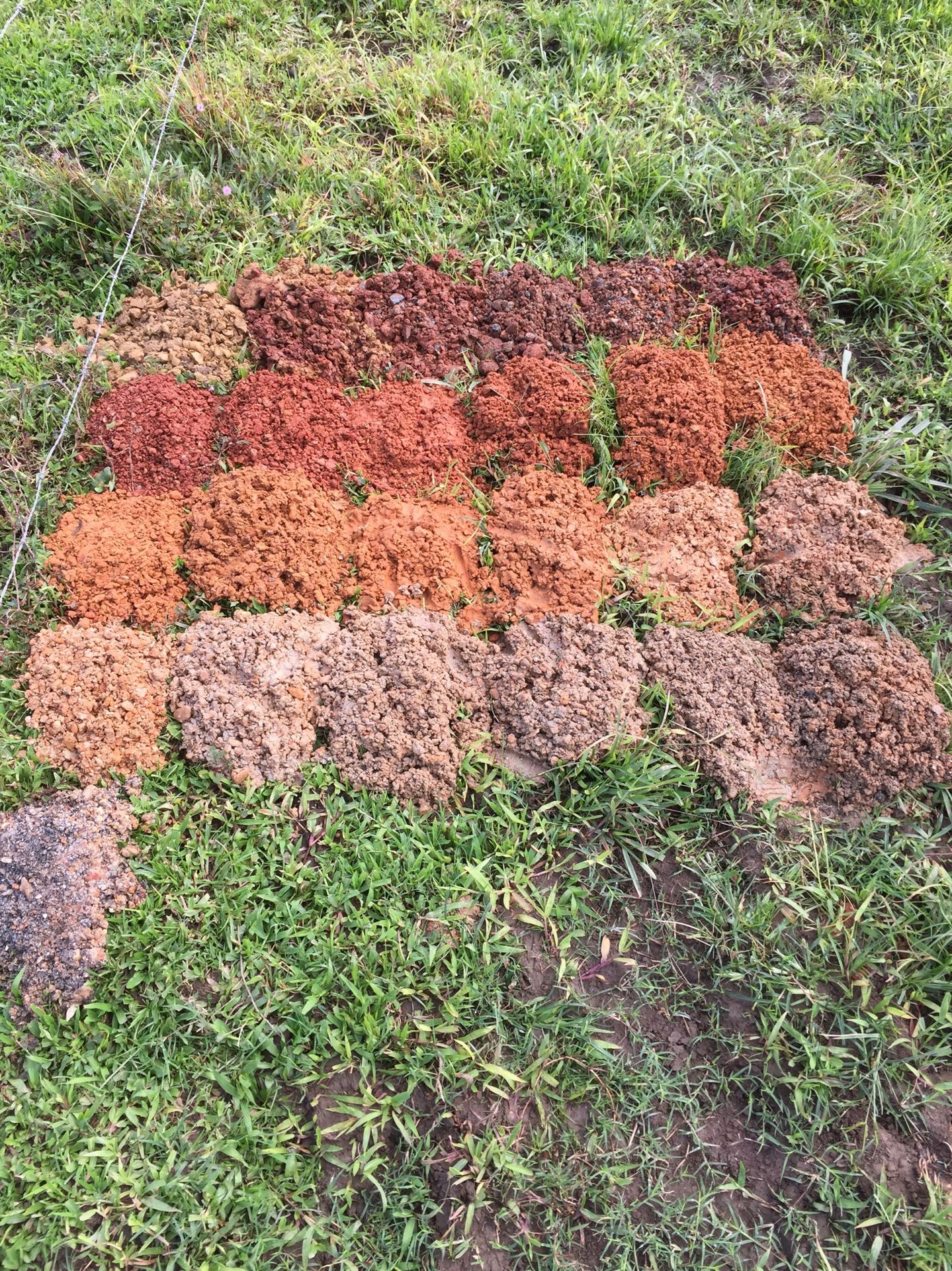 Drill cuttings laid out in rows on the grass, changing colour with depth